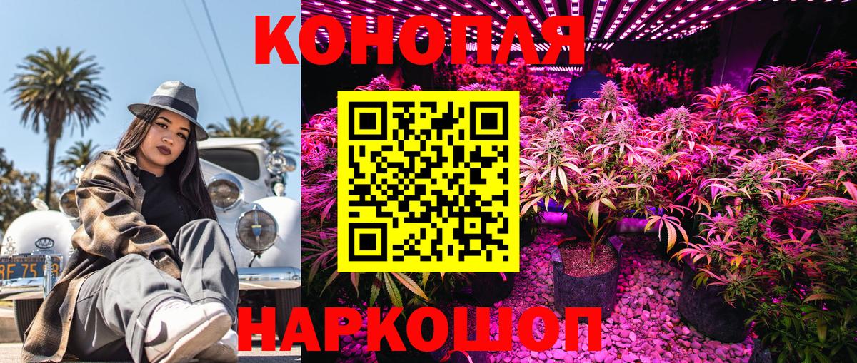 Конопля планчик Асбест